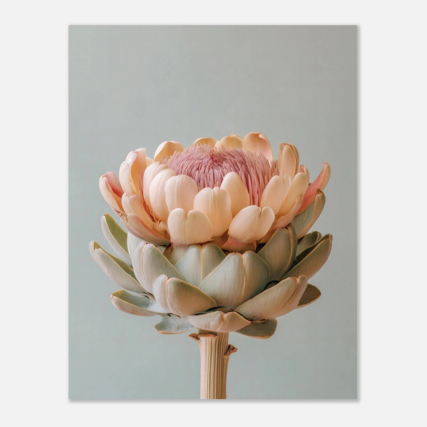 pastel artichoke poster 11x14 crop showing artwork proportions