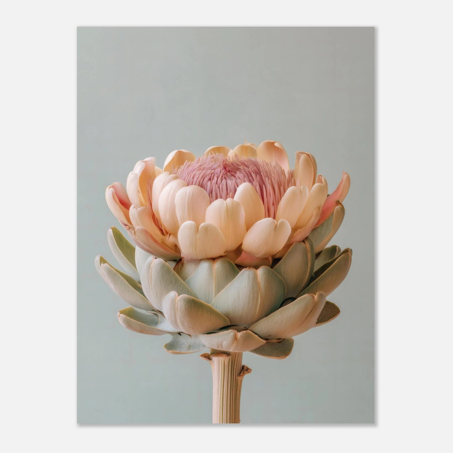 pastel artichoke poster 12x16 crop showing artwork proportions
