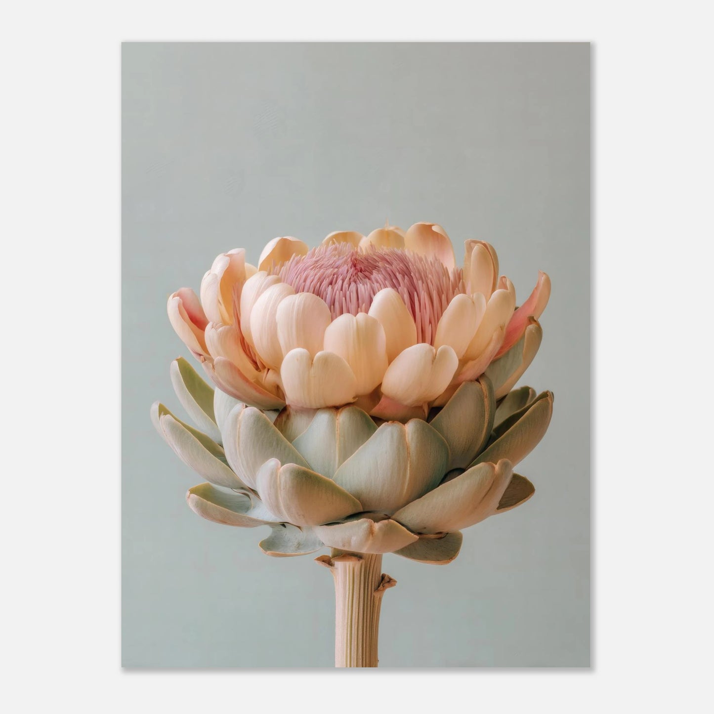 pastel artichoke poster 18x24 crop showing artwork proportions