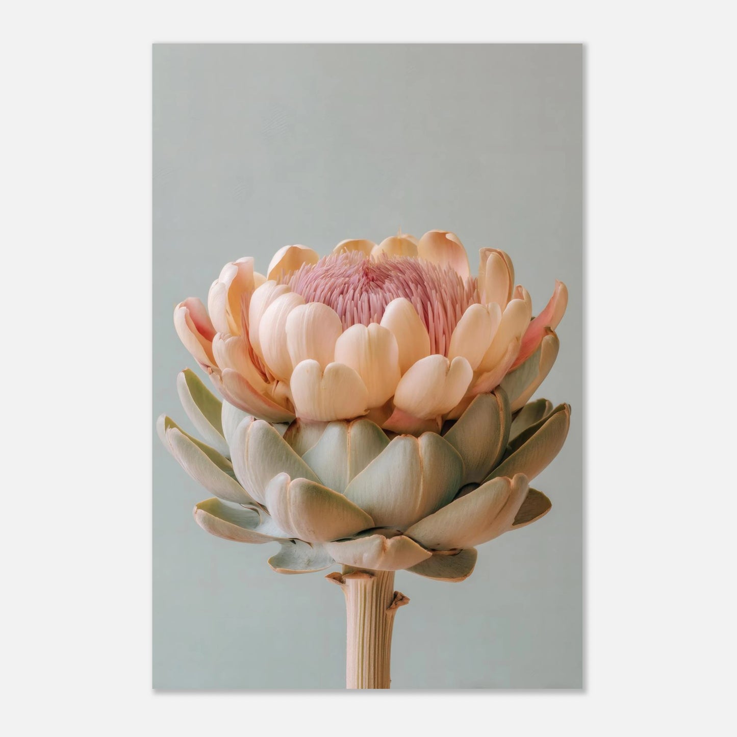 pastel artichoke poster 24x36 crop showing artwork proportions